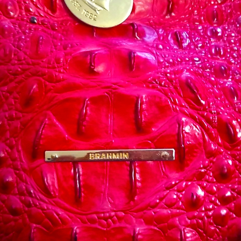 Brahmin purse